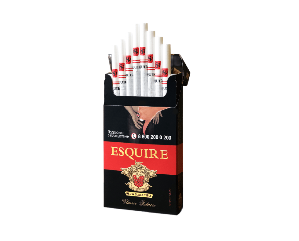 Esquire SS Red&Black Esquire SS Red&Black — изображение 1