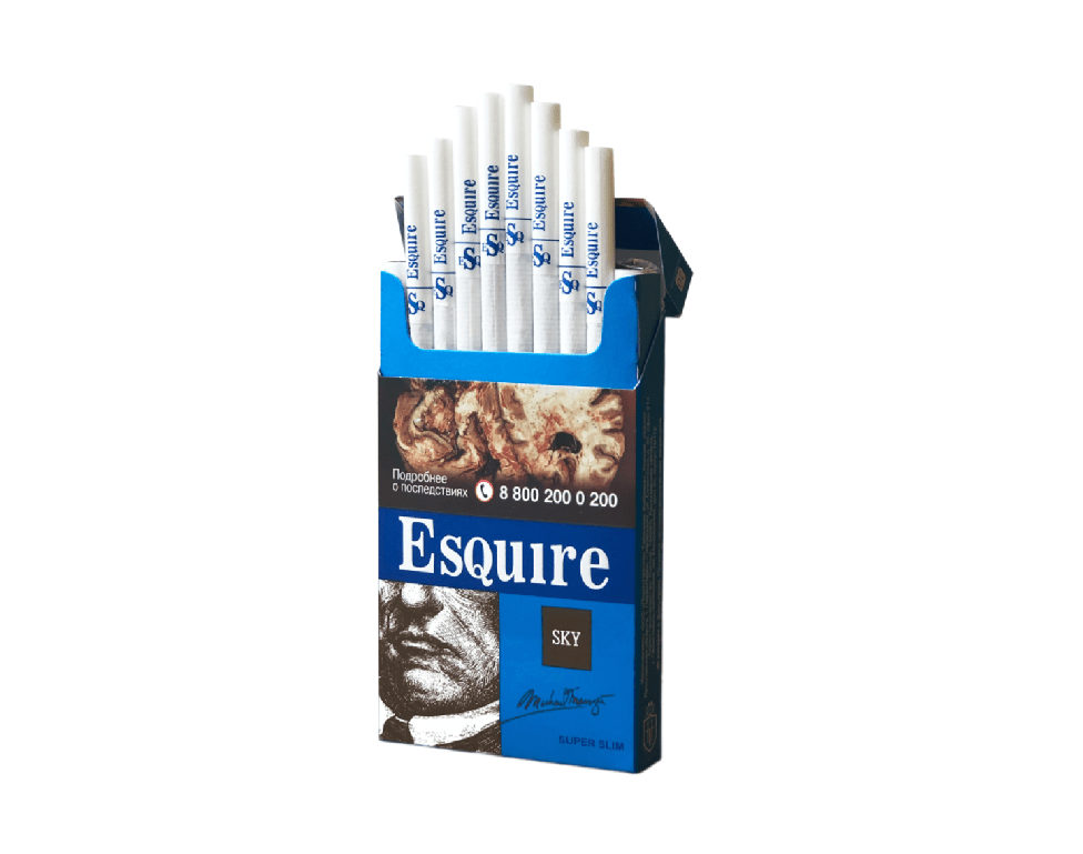 Esquire SS Sky Esquire SS Sky — изображение 1